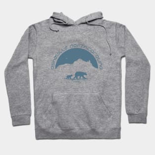 Momma Black Bear & Cubs - Asheville, NC - BG 11 Hoodie